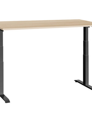höhenverstellbarer Tisch ergon